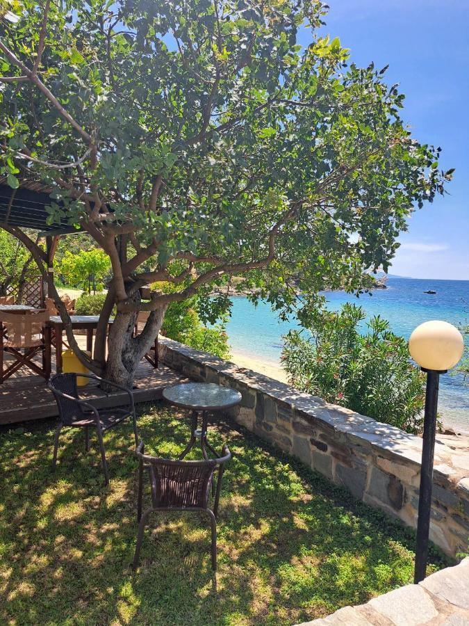 PalaiónTsiflíkionLa Casa Sul Mare别墅 外观 照片