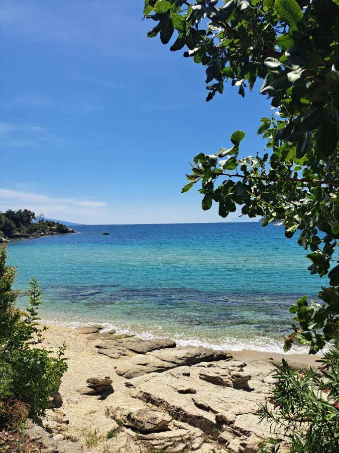 PalaiónTsiflíkionLa Casa Sul Mare别墅 外观 照片